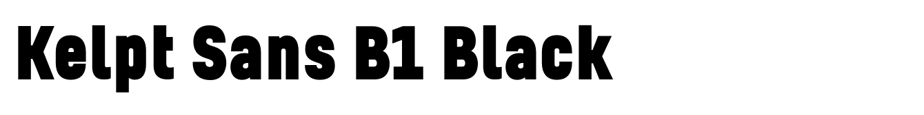 Kelpt Sans B1 Black